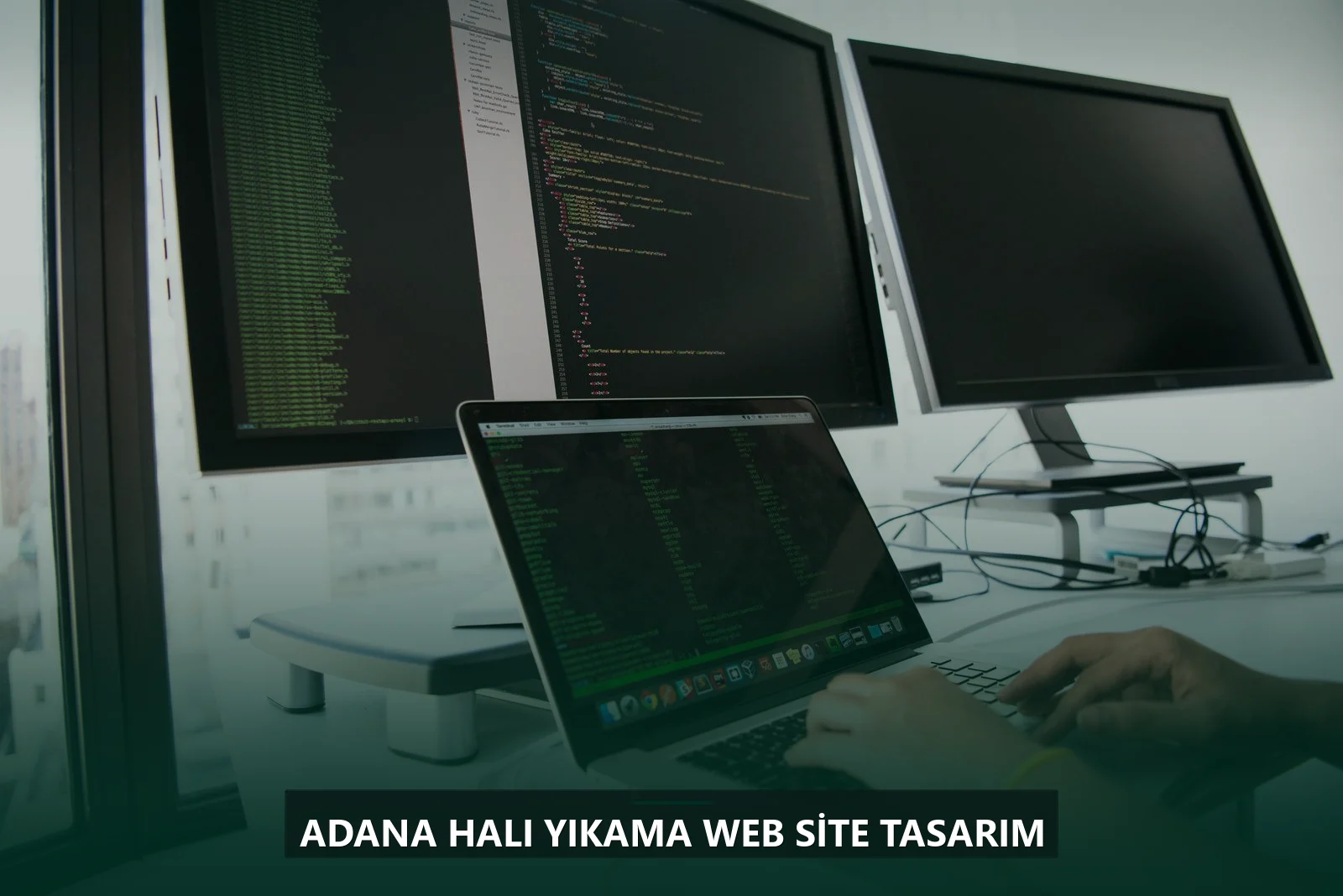 Adana Halı Yıkama Web Site Tasarım