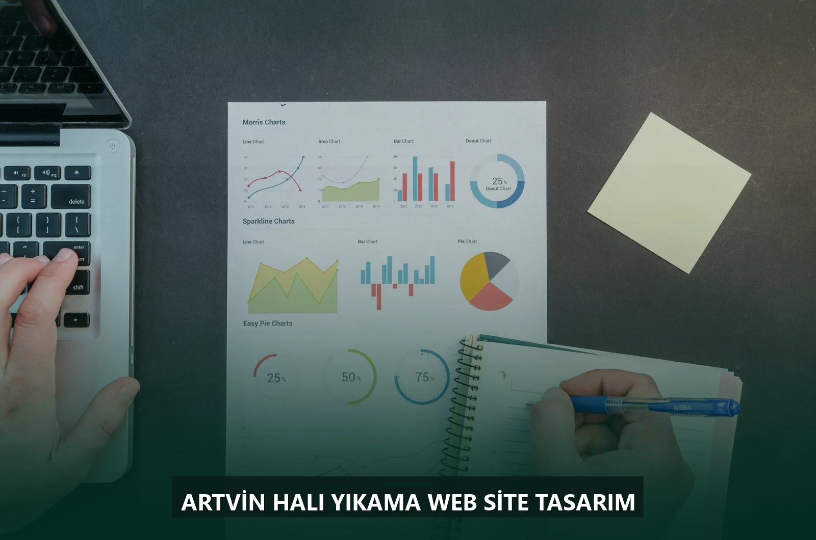 Artvin Halı Yıkama Web Site Tasarım