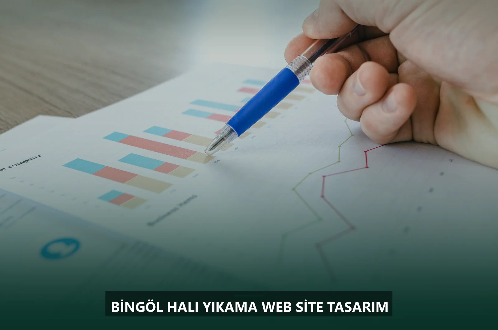 Bingöl Halı Yıkama Web Site Tasarım