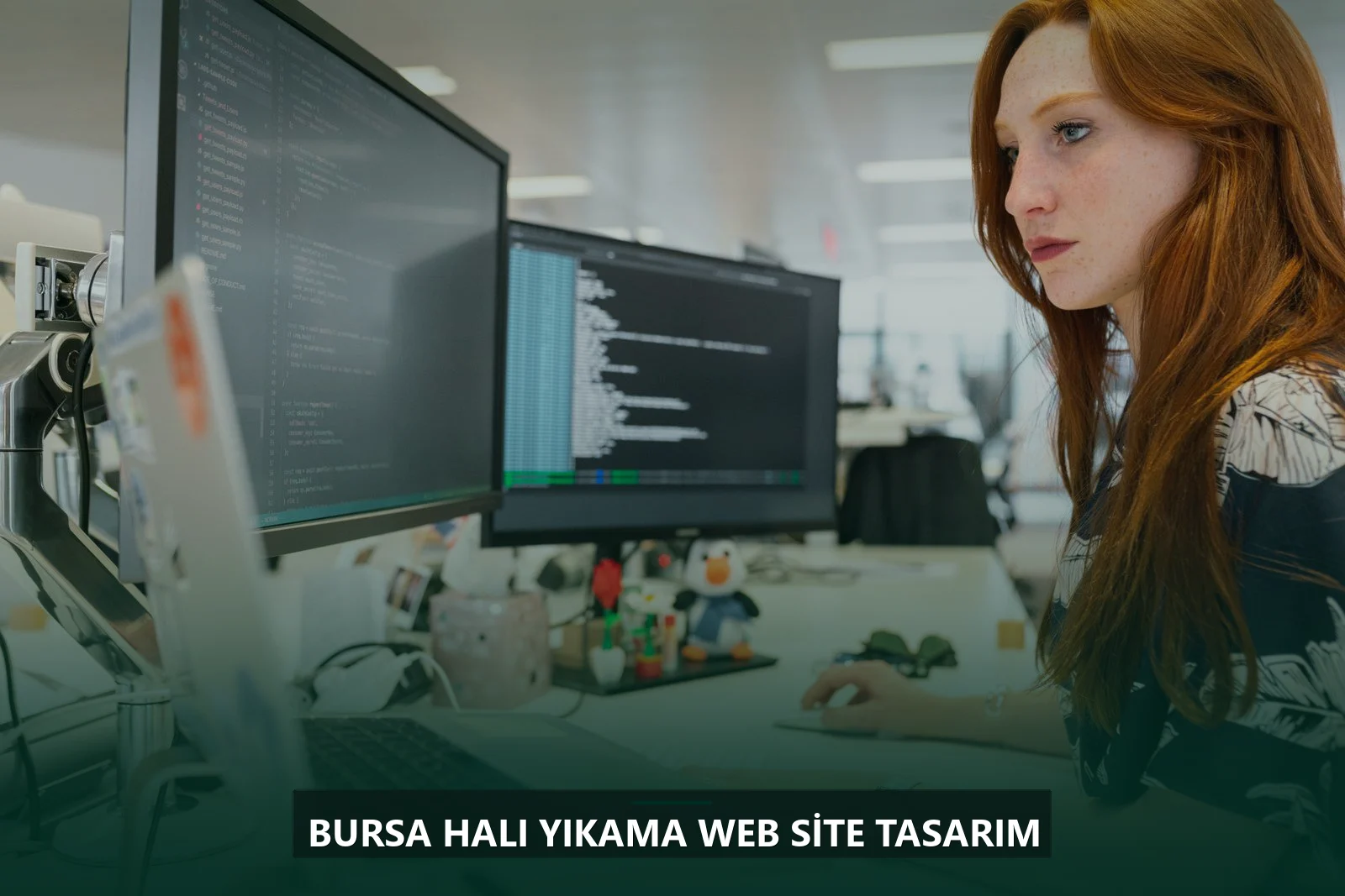 Bursa Halı Yıkama Web Site Tasarım