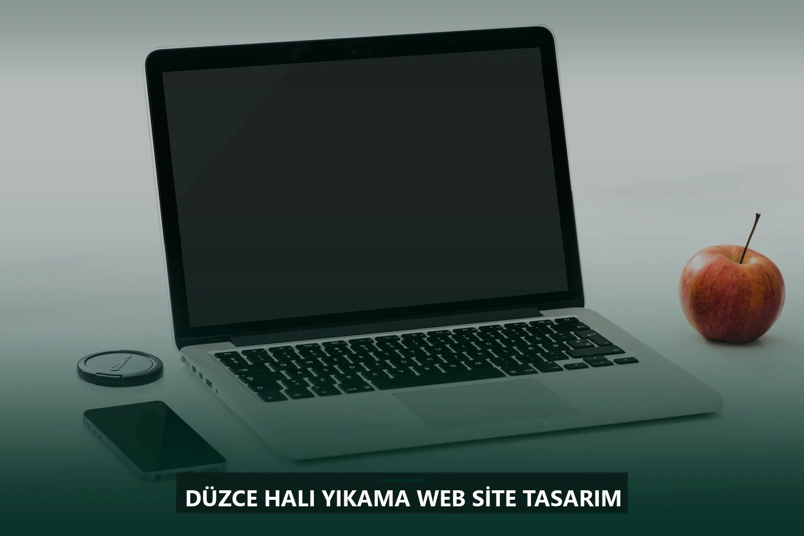 Düzce Halı Yıkama Web Site Tasarım