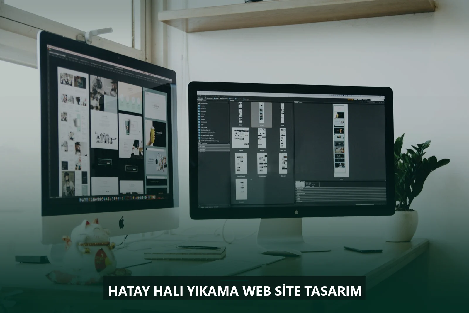 Hatay Halı Yıkama Web Site Tasarım
