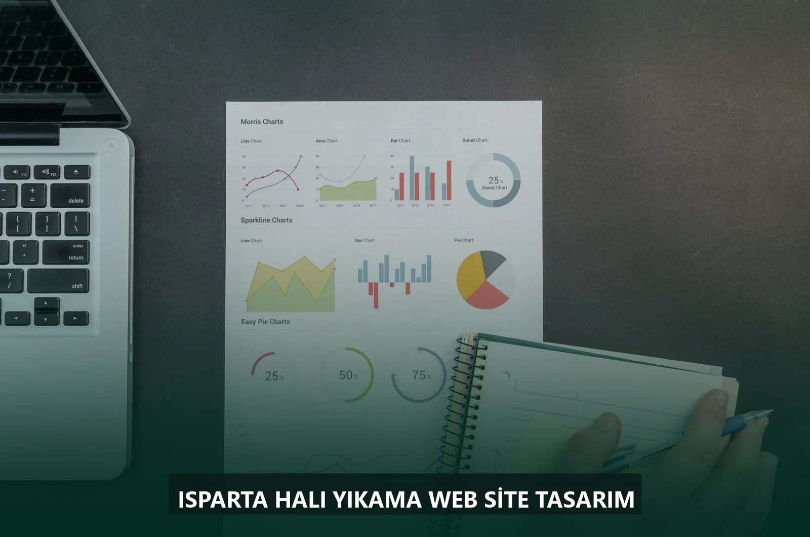 Isparta Halı Yıkama Web Site Tasarım