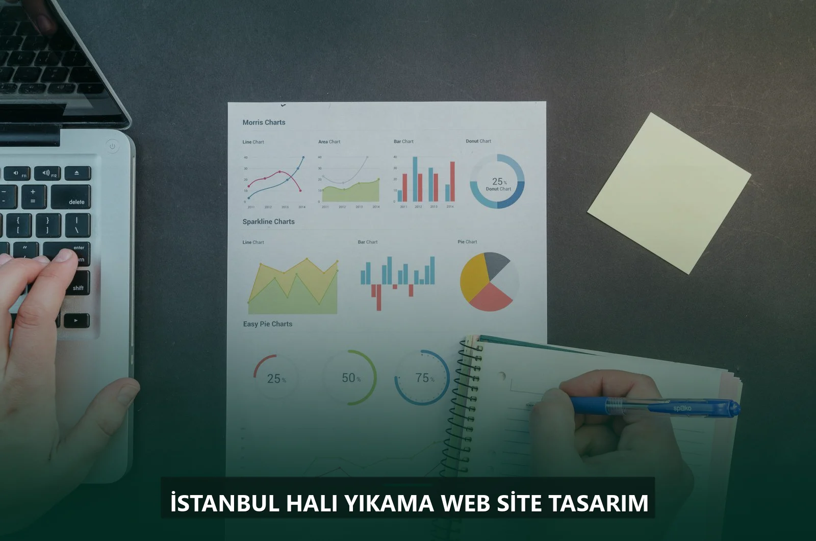 İstanbul Halı Yıkama Web Site Tasarım