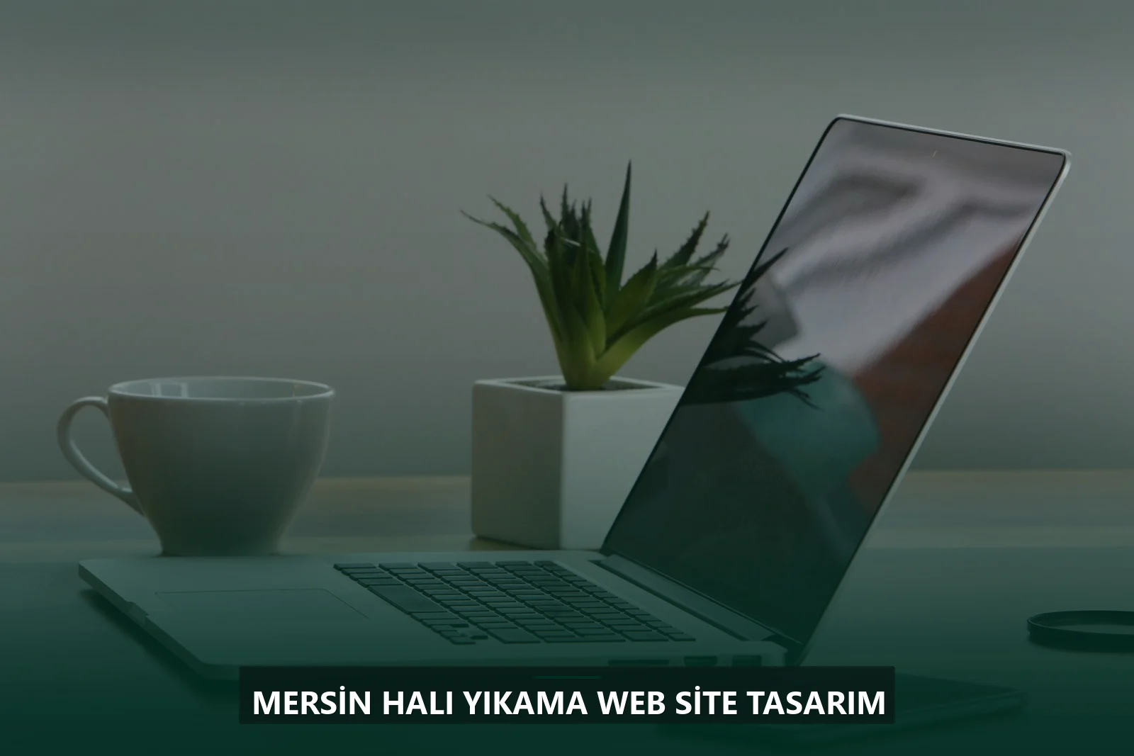 Mersin Halı Yıkama Web Site Tasarım