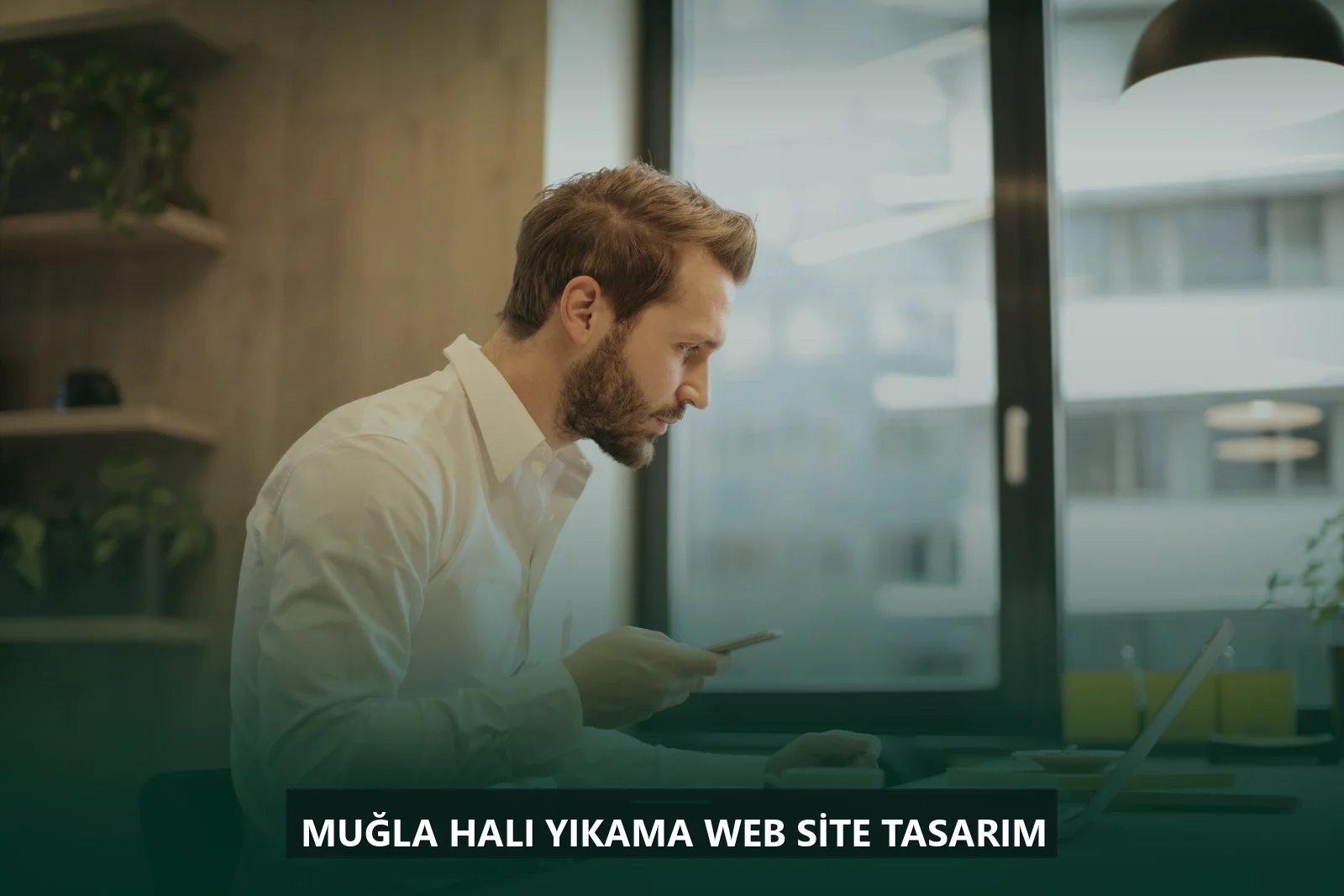 Muğla Halı Yıkama Web Site Tasarım