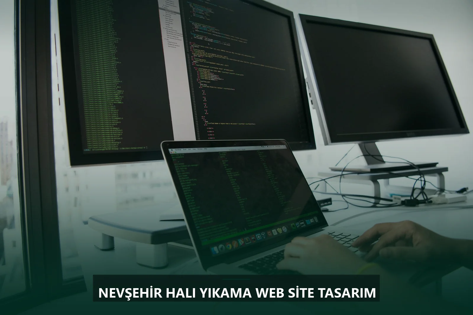 Nevşehir Halı Yıkama Web Site Tasarım