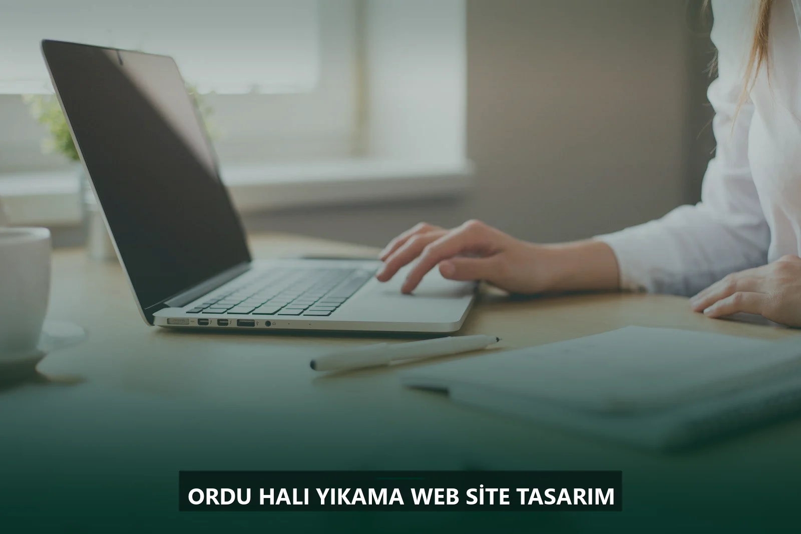 Ordu Halı Yıkama Web Site Tasarım