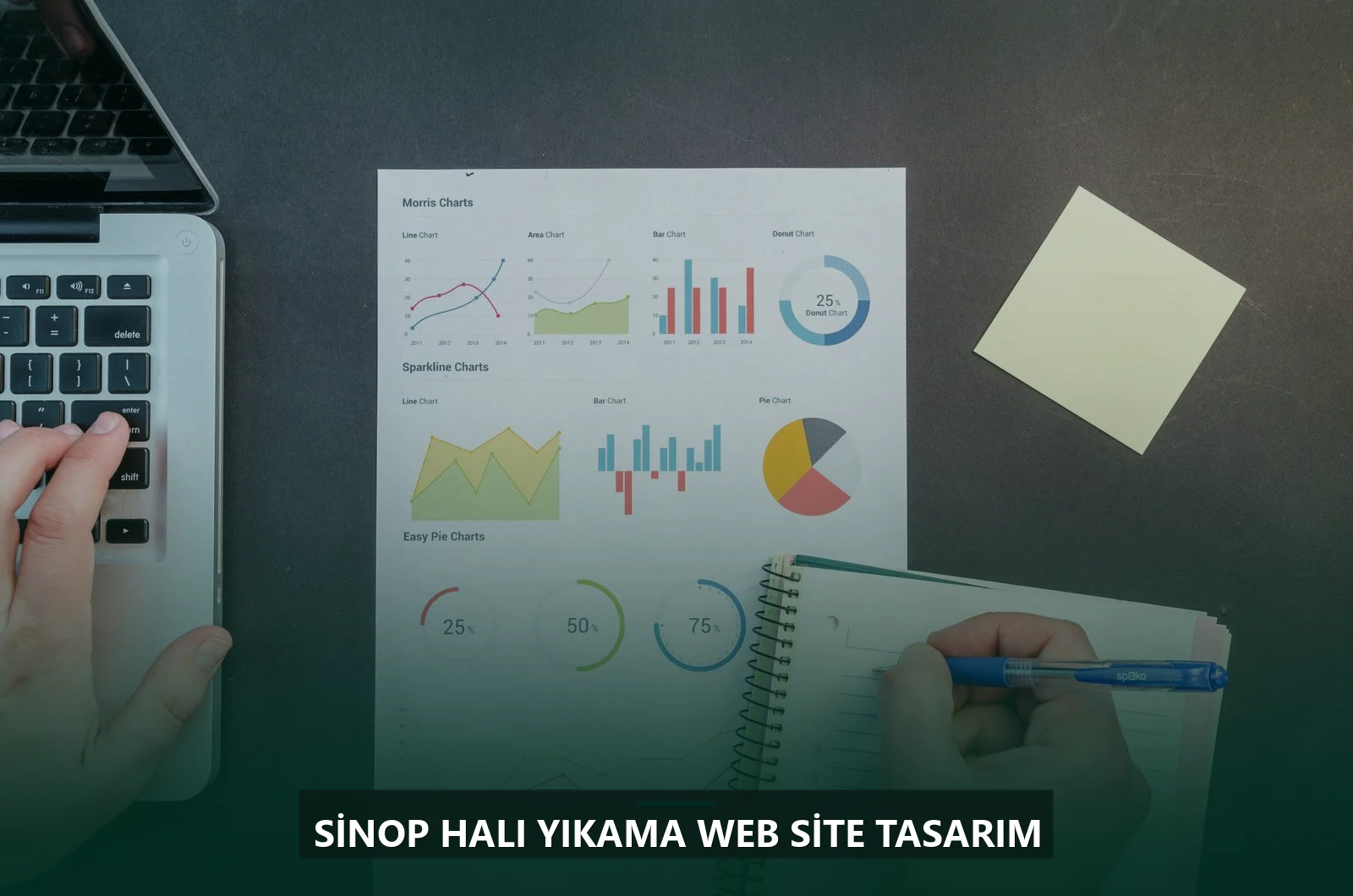 Sinop Halı Yıkama Web Site Tasarım