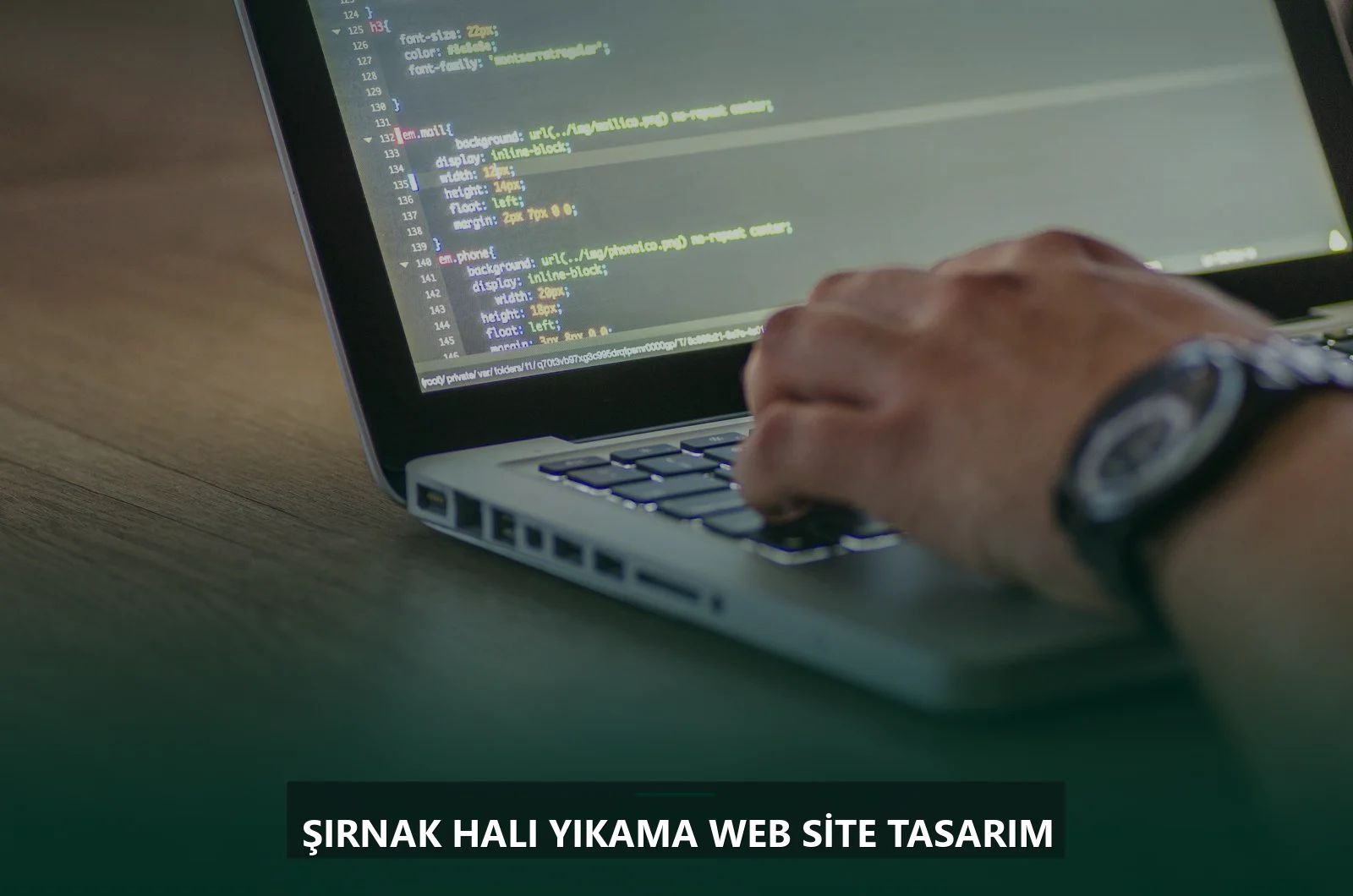 Şırnak Halı Yıkama Web Site Tasarım