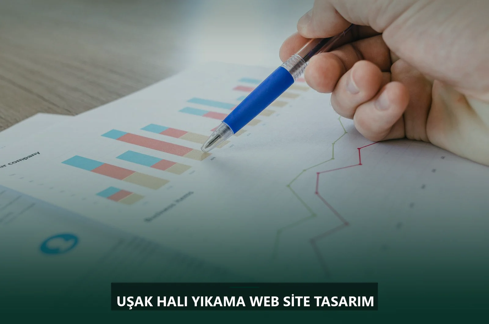 Uşak Halı Yıkama Web Site Tasarım